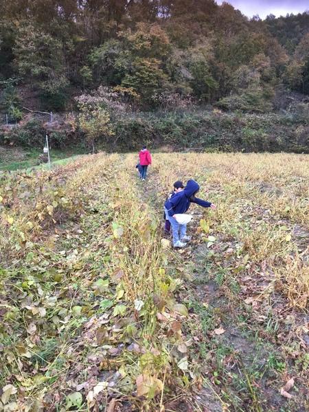 奥に林がある畑の中でパーカーを来た2名の子供が葉っぱをさわっている写真
