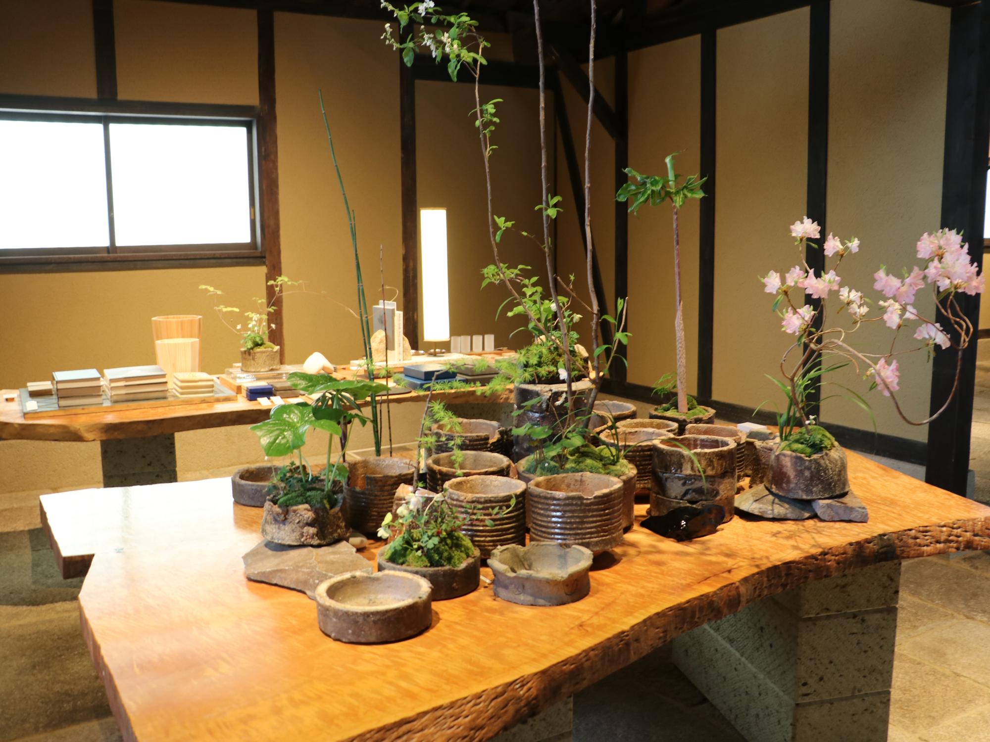 木のテーブルの上に丹波焼が並べられていて、桜や植物が生けられている。