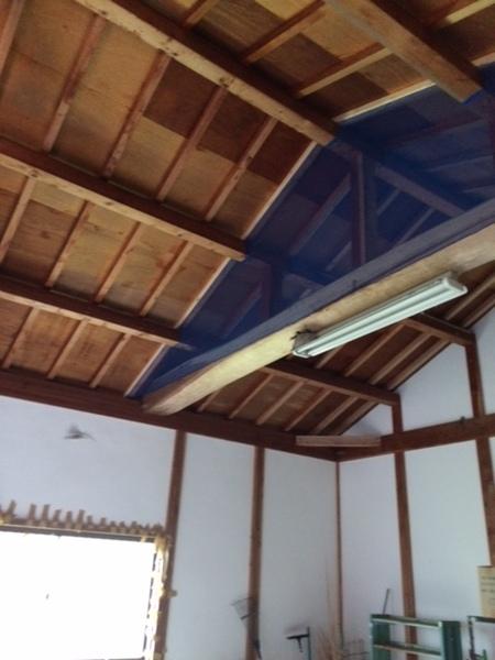 家の天井に蛇が来ないように青い網目のネットが張られている写真