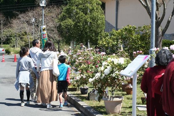 右側にはシャクナゲの花の鉢植えが置かれていて、その横の道を4人家族が歩いている写真