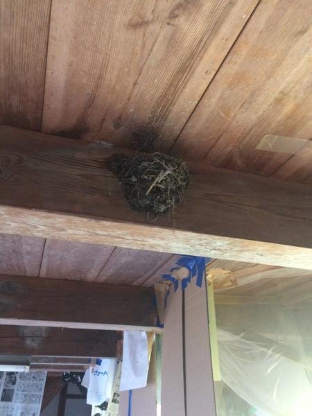 家の中の天井にある木で出来た梁に燕の巣が作られている写真
