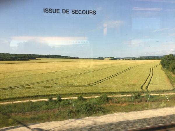 列車から見た一面の麦畑の写真