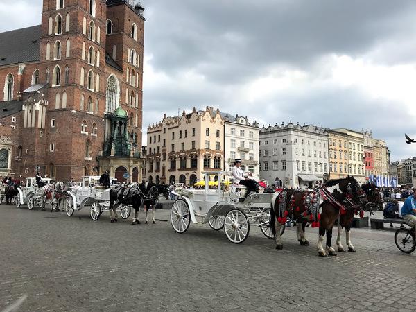 石畳の道路に三台の馬車が並んでいる写真