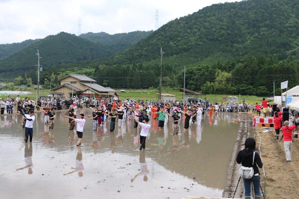 色んな色のTシャツを着た参加者が田んぼの中で準備運動をいる写真