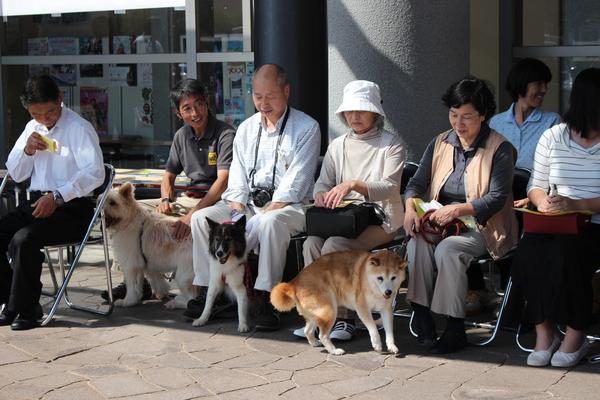 長寿犬を連れた飼い主たちが椅子に座り、犬のリードを持ちながら順番待ちをしている写真
