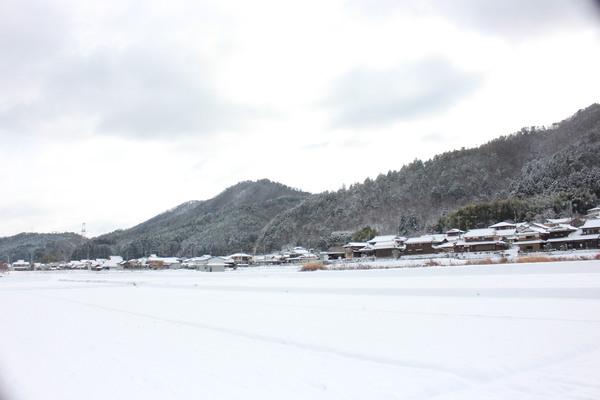 山の木々に薄っすらと雪がつもり、家々や田んぼに真っ白な雪が降り積もっている様子を広範囲で写している様子の写真