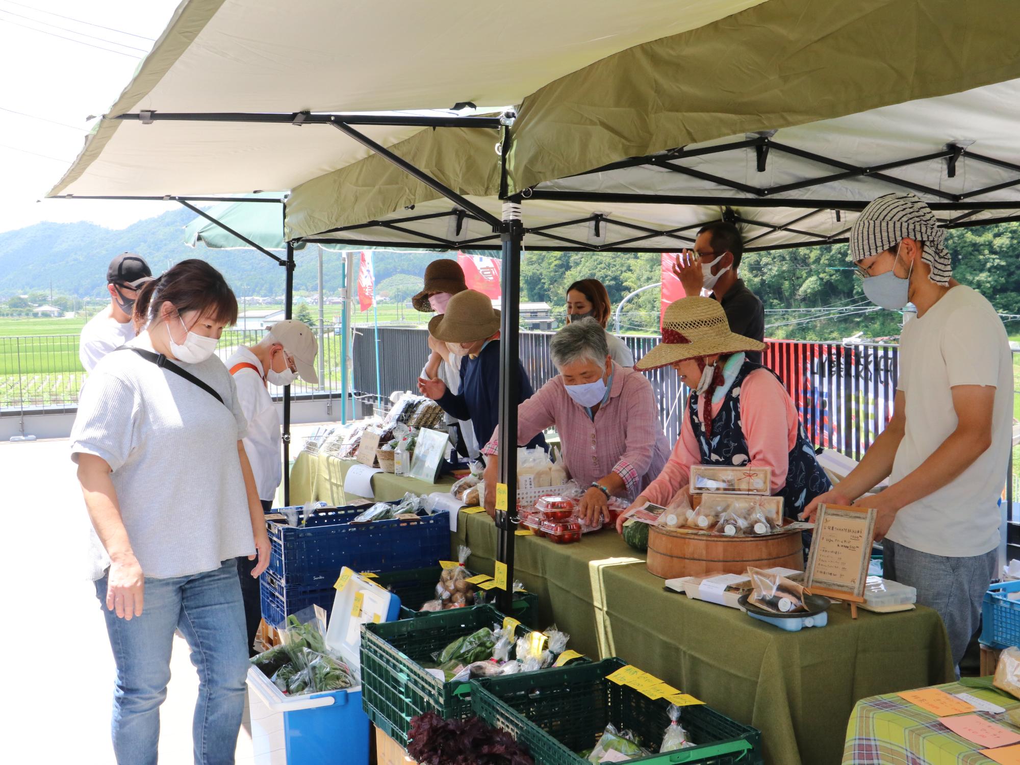 野菜市場で品物を見ている女性