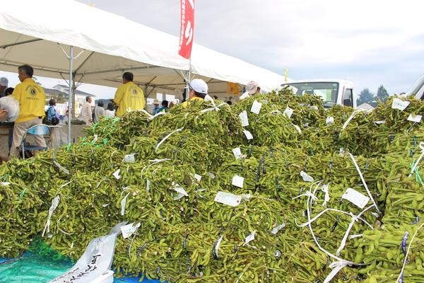 沢山の枝豆が山のように積まれた写真