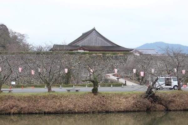 お堀の奥に桜並木があり、提灯が吊るされている写真