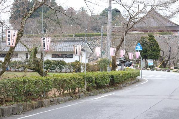 道路の端に提灯やライトアップの準備がされている写真