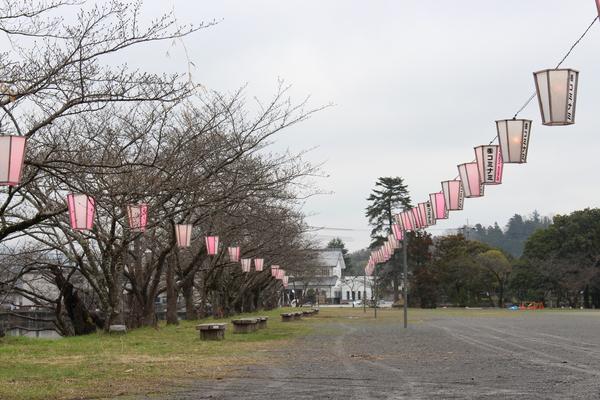空が薄っすらと暗くなり、並んでいる提灯にライトが付いている写真