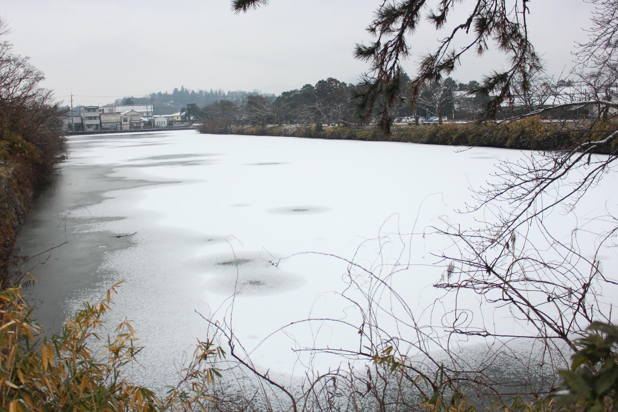 お堀の水が凍りうっすら雪が積もっている
