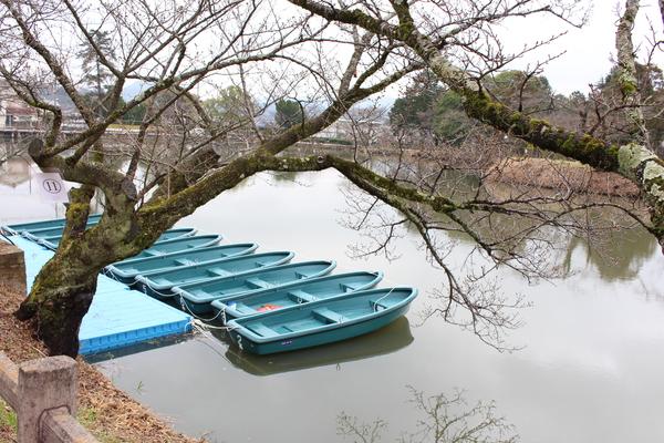 お堀に水色のボートが並んでいて、手前には桜の木がある写真