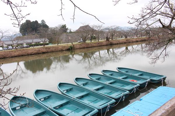 遠くには、桜並木があり、お掘に水色のボートが並べられている写真