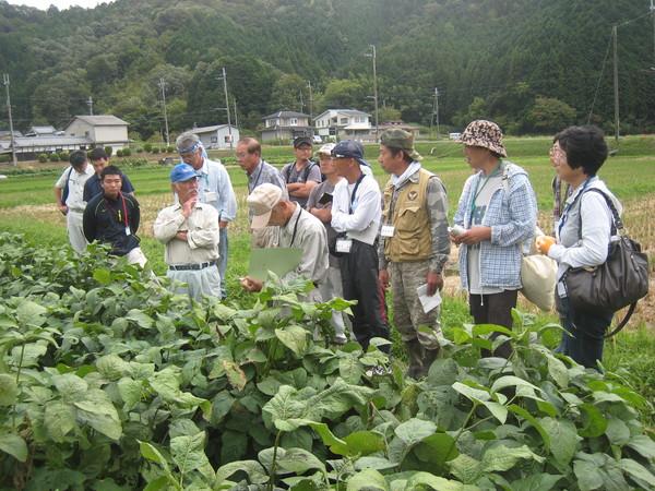 実際に農業をされている方の畑まで出向き話を熱心に聞いている参加者の写真