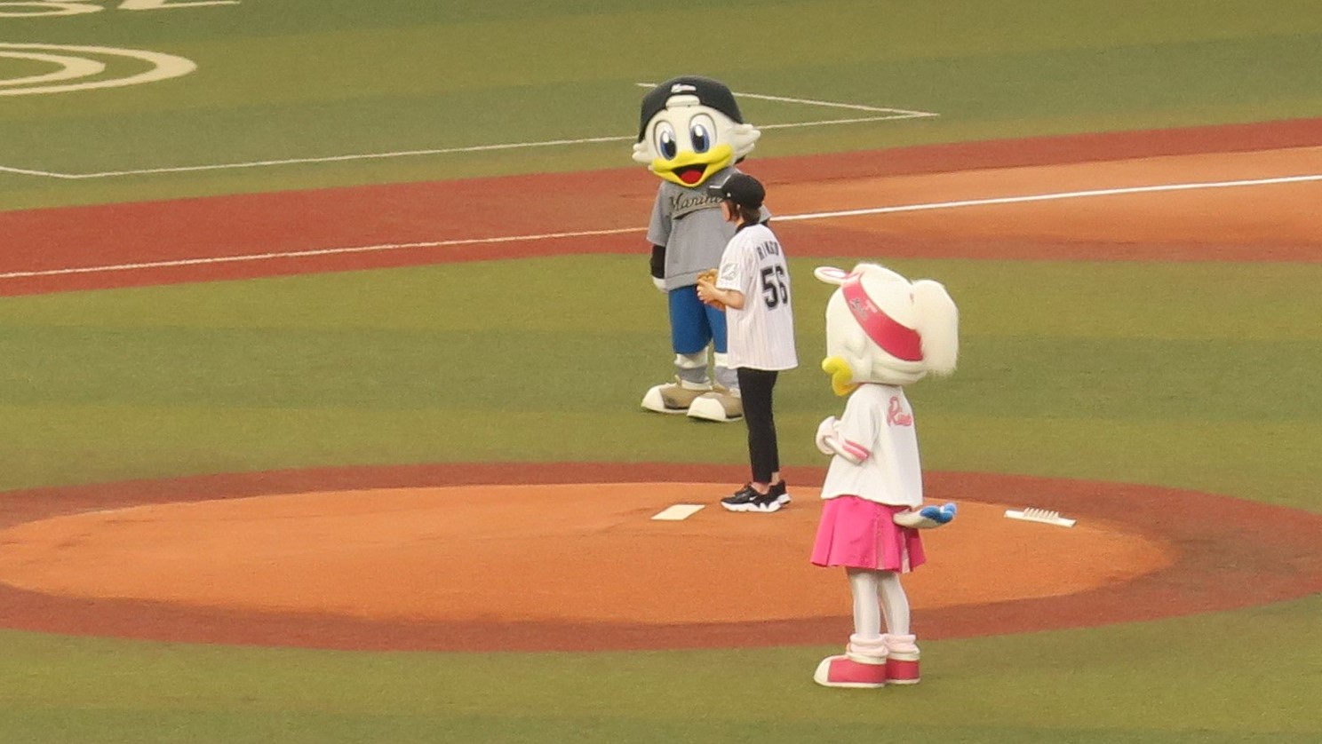 始球式のボールを投げようとしている杉本さん、そばで千葉ロッテのマスコットが見守っている