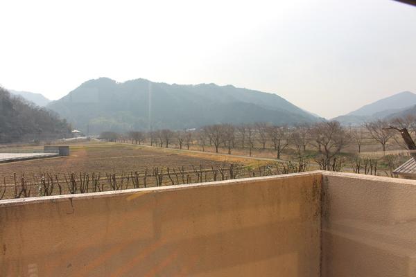 畑が広がり、道の脇には木々が植えられている風景を校舎から写した写真