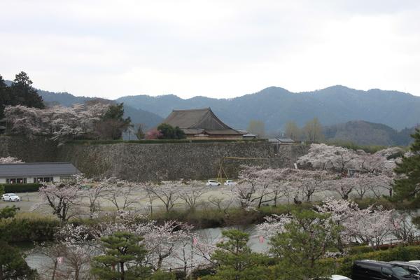 厚い雲の空の下、市長室から見える桜並木の写真