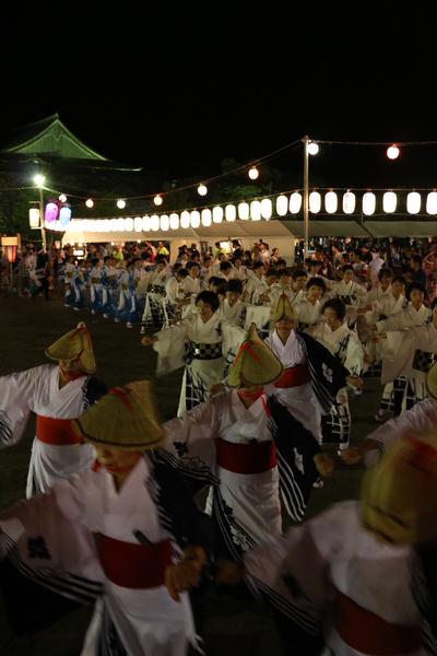 編み笠をかぶり、浴衣を着て踊る女性たちの後ろに並び踊っている女性たちの写真