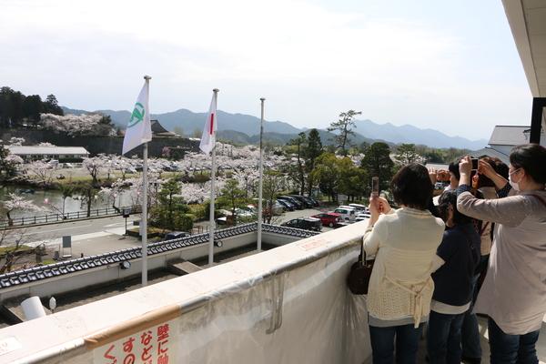 市長室のバルコニーから庁舎の国旗のポールの奥にある篠山城跡の桜の写真を撮っている人々の写真