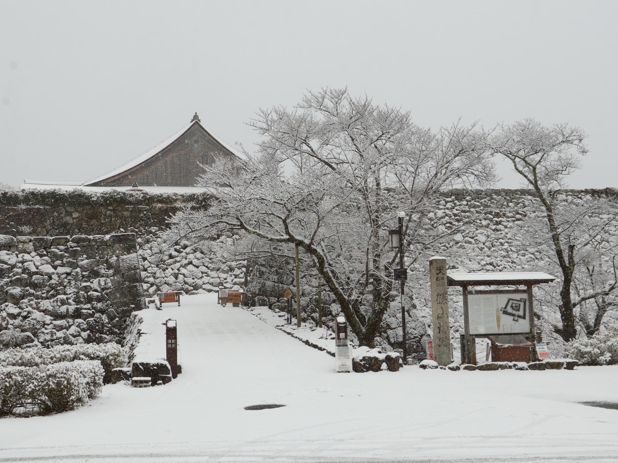 大書院の屋根や木、坂道に雪が積もっている