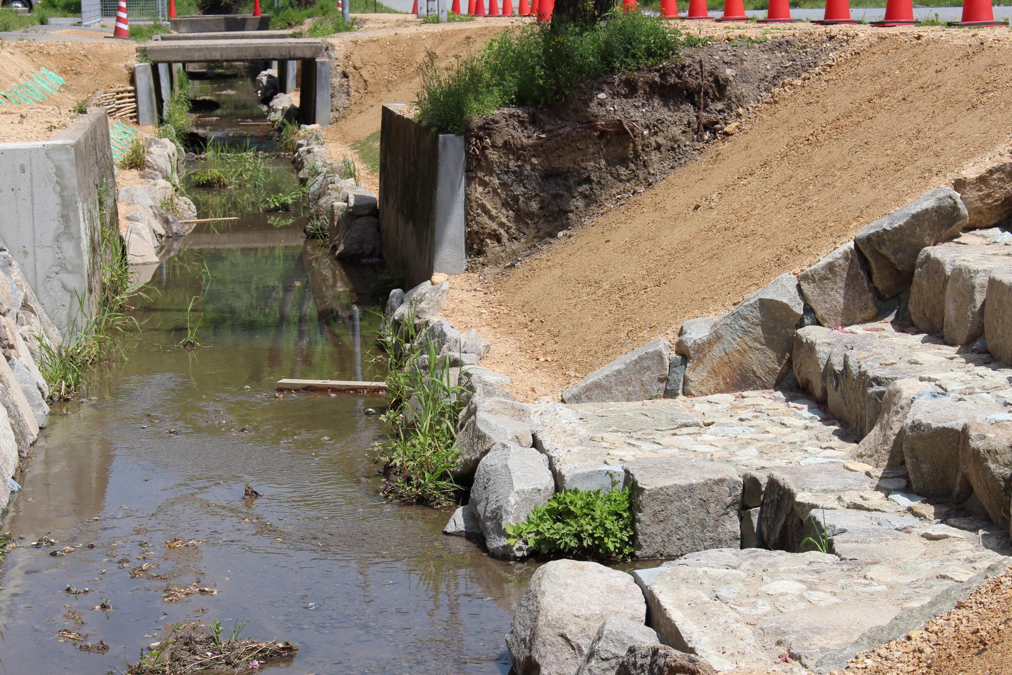 堤防がコンクリートから芝生に改修された川