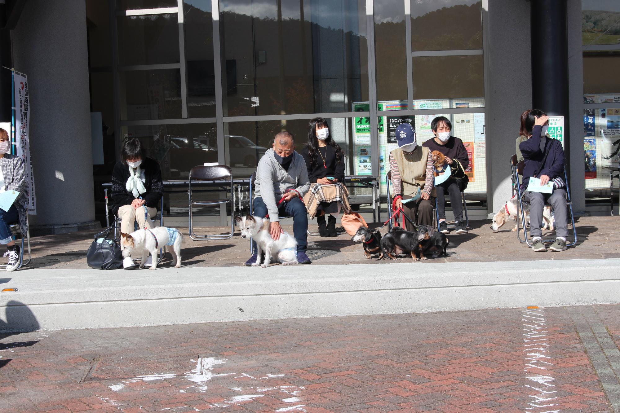長寿犬を連れた飼主たちがパイプ椅子に座って待機している