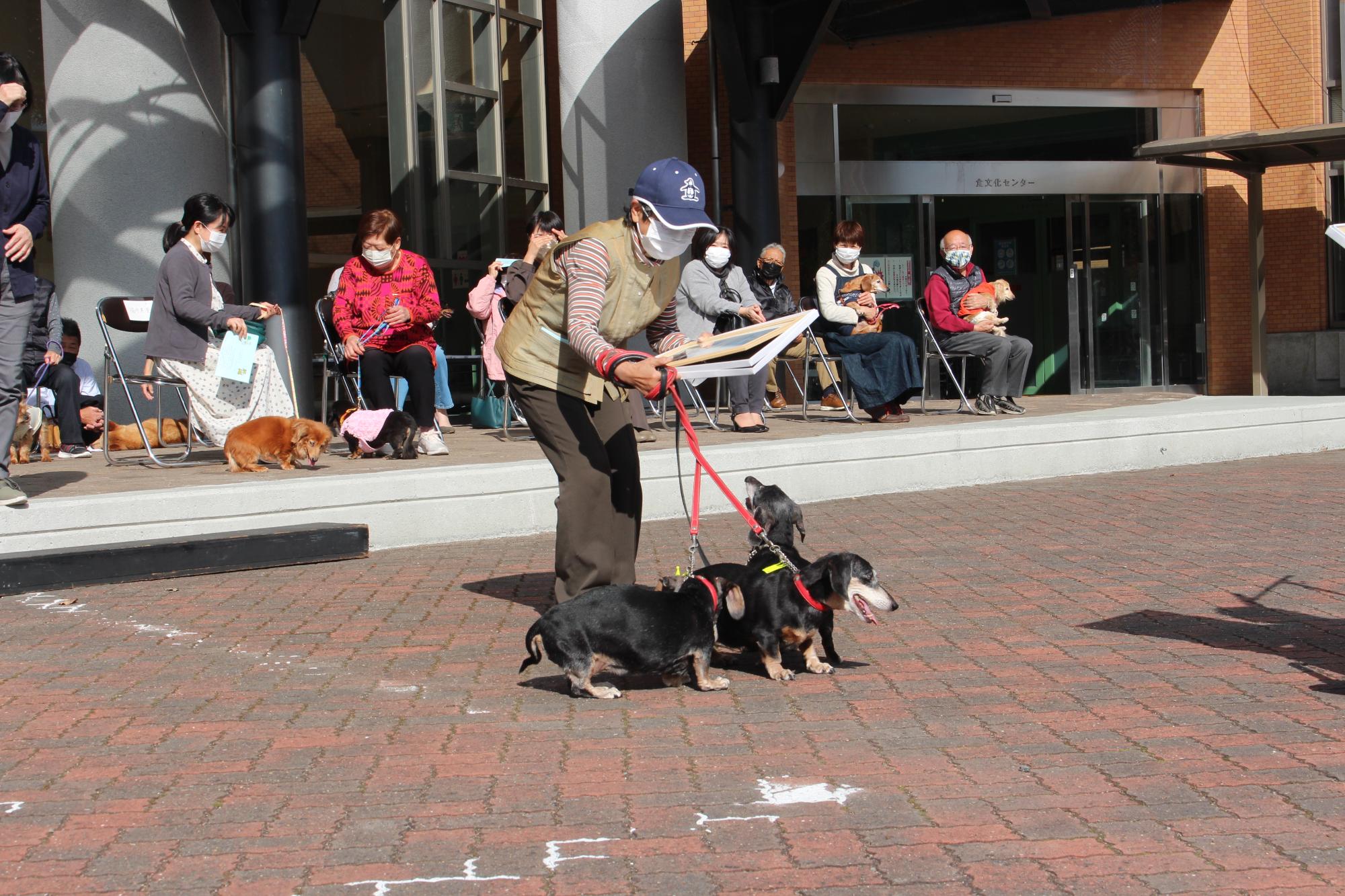 長寿犬を3匹連れた女性が市長から表彰状を受け取った。