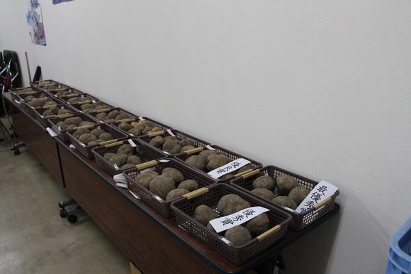 20個ほどのかごの中に収穫した山の芋が入っていて、手前の芋には最優秀賞、優秀賞と芋の上に紙が貼られている写真