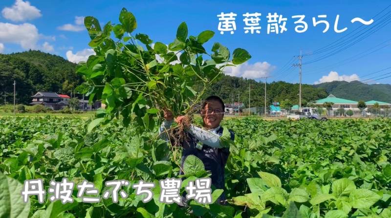 農家の方が黒豆畑で万葉集を朗唱している