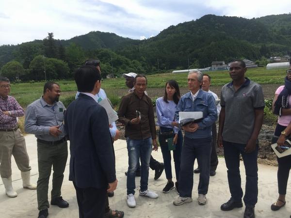 圃場にてアフリカ、ミャンマー、インドネシア各国の農業技術職員が、スーツを着た男性職員の説明を聞いている写真