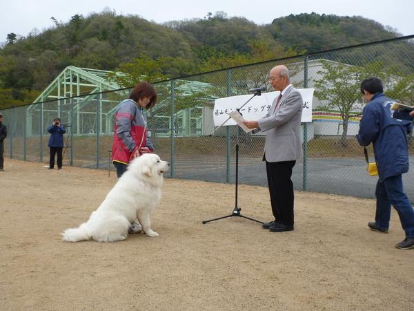毛のフサフサした大きな白い犬の隣に女性がたちマイクの前に市長がたち認定書交付している写真