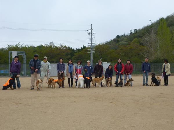色々な犬種の犬が並んで人間と記念撮影写真