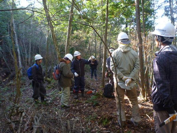 森の中でヘルメットをがぶった参加者が、中央の青いジャンパーを着た男性が指差しして説明しているのを聞いている様子の写真