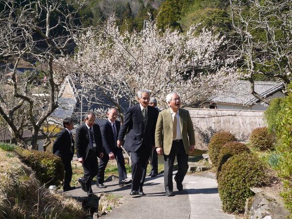 桜の木の下を文化庁長官とスーツをきた5名の男性が歩いている写真