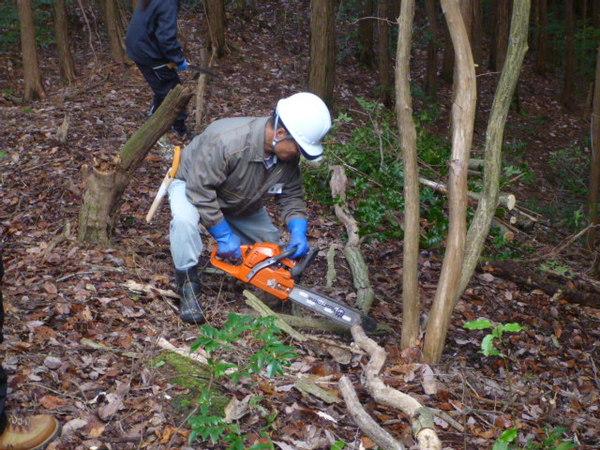 森の中でヘルメットをかぶった男性が、チェーンソーを使い細くて長く横たわっている木を切っている様子の写真