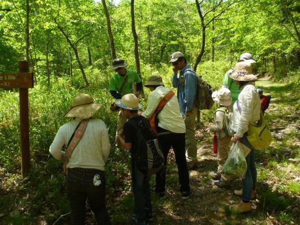 緑に囲まれた山道で何かを見つけ覗き込んでいる参加者たちの写真
