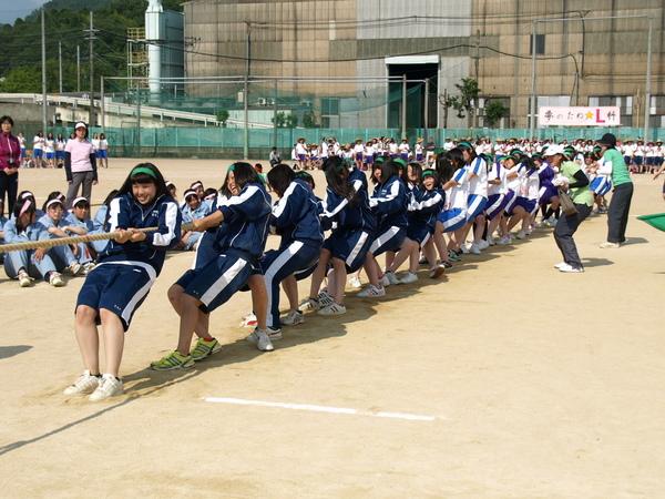綱引きの競技で緑の鉢巻きを頭に巻いた女性生徒が縄を必至に引っ張っている写真