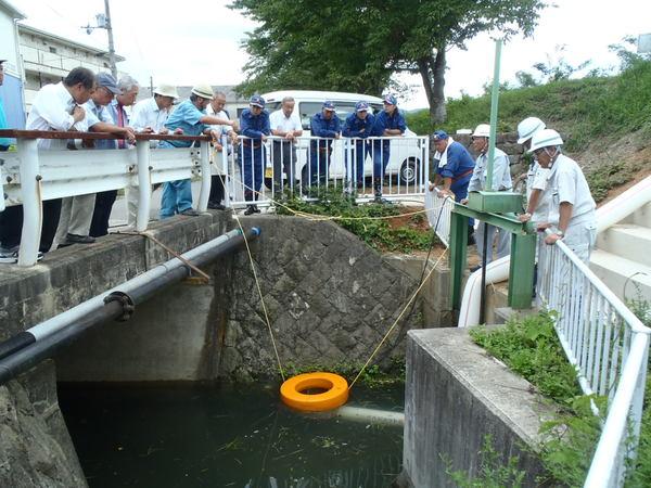 川の水門口に消防関係者が集まり川の中に黄色い浮き輪のようなものが落とされており、排水ポンプから汲み上げた水がホースから排水されるのを見ている様子の写真