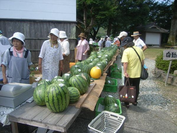 台の上に沢山のスイカが並べられており、お客さんがスイカの品定めをしている様子の写真