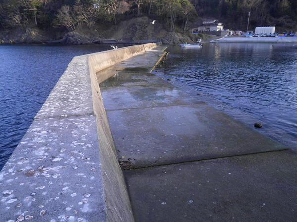 海にコンクリートで作られている復旧される前の防波堤が岸まで続ていいる写真