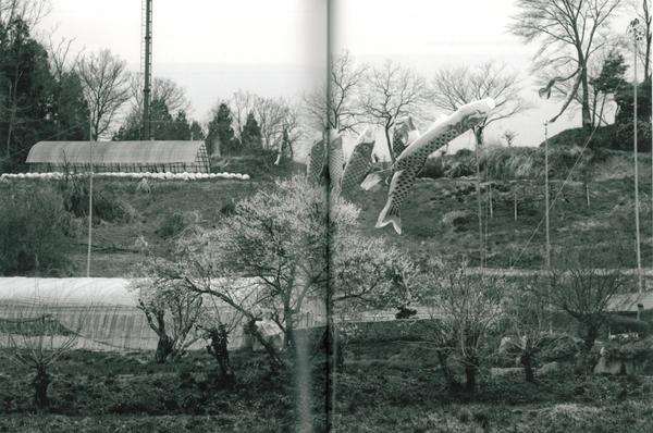 ビニールハウスや畑、木々が植えてある庭の上に、鯉のぼりが泳いでいる様子の白黒の写真