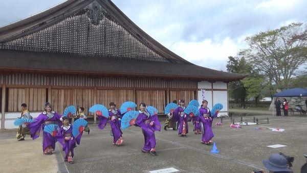 紫の着物をきて両手にセンスを持ちながら踊る人たちの写真