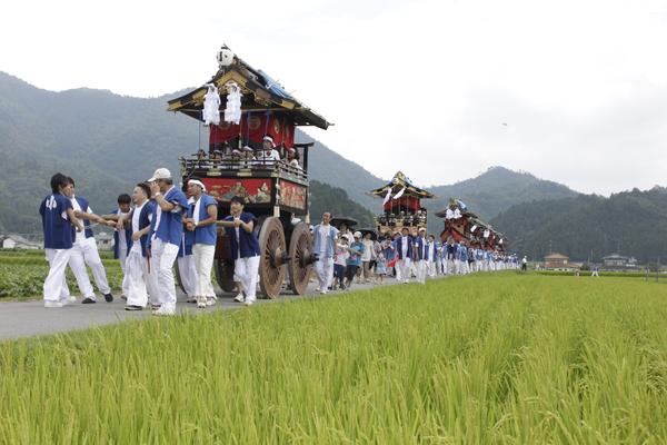 緑の田んぼの中を大勢の男性が沢山の山車を引いて練り歩いている写真