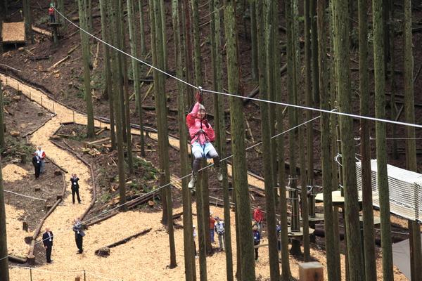 森の木から木へワイヤが繋げてありピンクのジャンパーを着た女の子が、ワイヤーから吊り下がって滑り空中移動をしている様子の写真