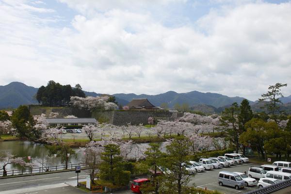 篠山城跡と池の周りに咲く桜の木々の写真