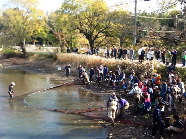 篠山城跡南堀に仕掛けた地引網を引っ張る人と、見守る沢山の参加者の写真