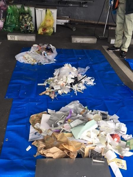 ブルーシートの上に分別された紙類、プラスチックが広げられている写真