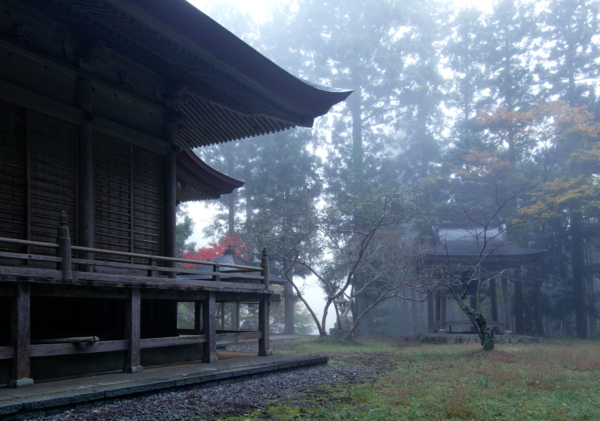霧がかかった文保寺の敷地内の写真