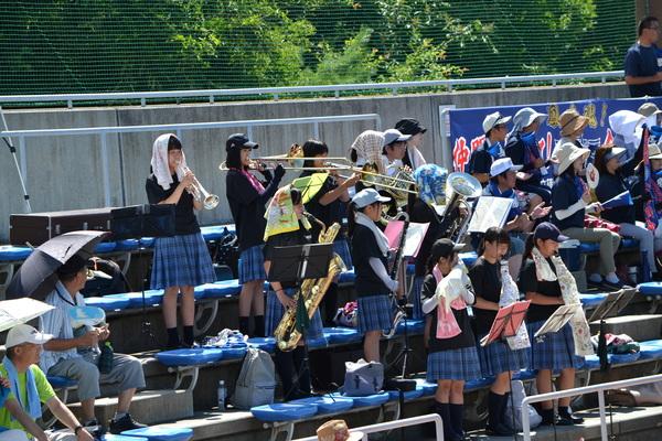ブラスバンド部が熱い中楽器を弾いて野球部を応援している写真